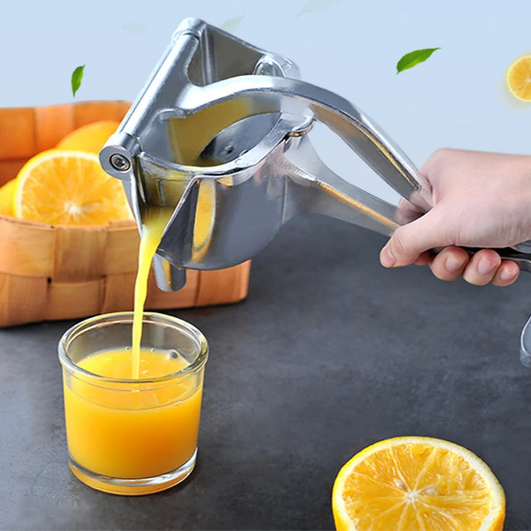 Fresh fruit juicer discount