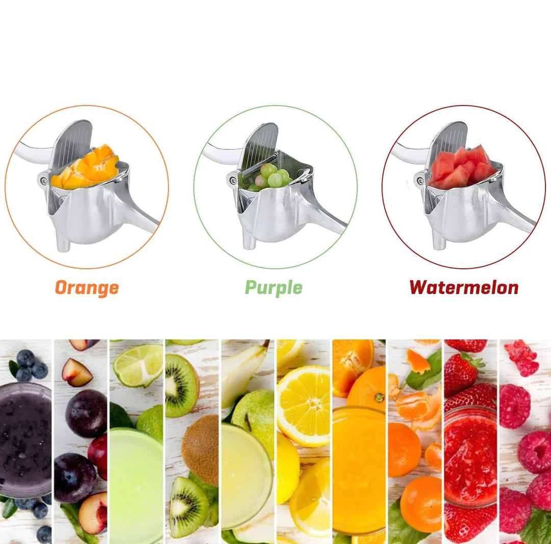 Fresh fruit discount juice maker